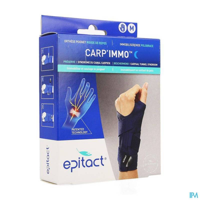 EPITACT CARP\'IMMO POLSBRACE RECHTS M