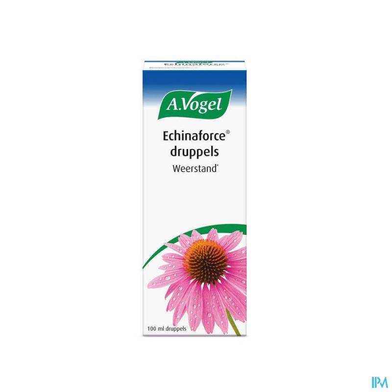 H.VOGEL  ECHINAFORCE NF           100ML