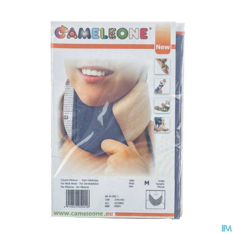 CAMELEONE MINERVE GRIS M 1 Q05001