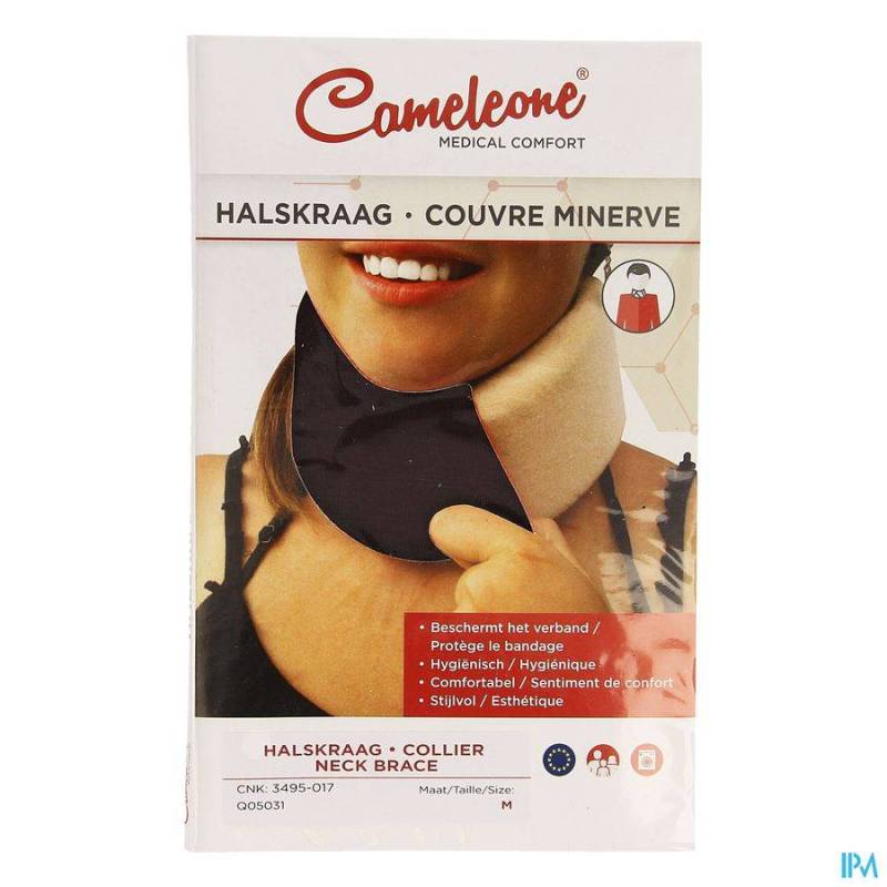 CAMELEONE MINERVE FIGUE M 1 Q05031