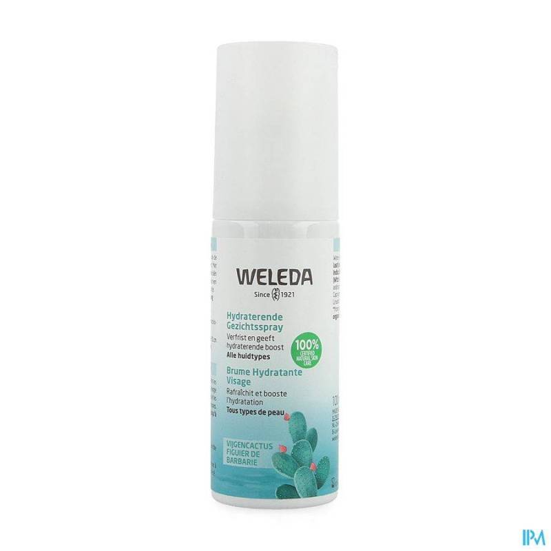 WELEDA HYDRATERENDE GEZICHTSSPRAY 24U 100ML