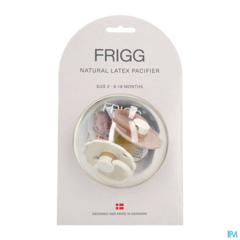 FRIGG DAISY 2 LAT BISC/CREAM        2PCS