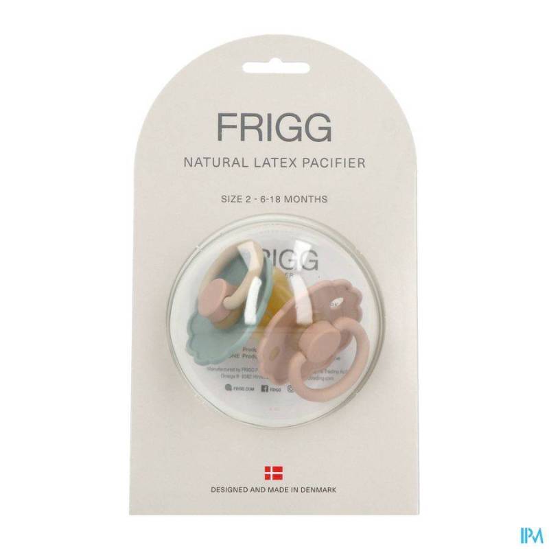 FRIGG DAISY 2 LAT WILLOW/GOLD       2PCS