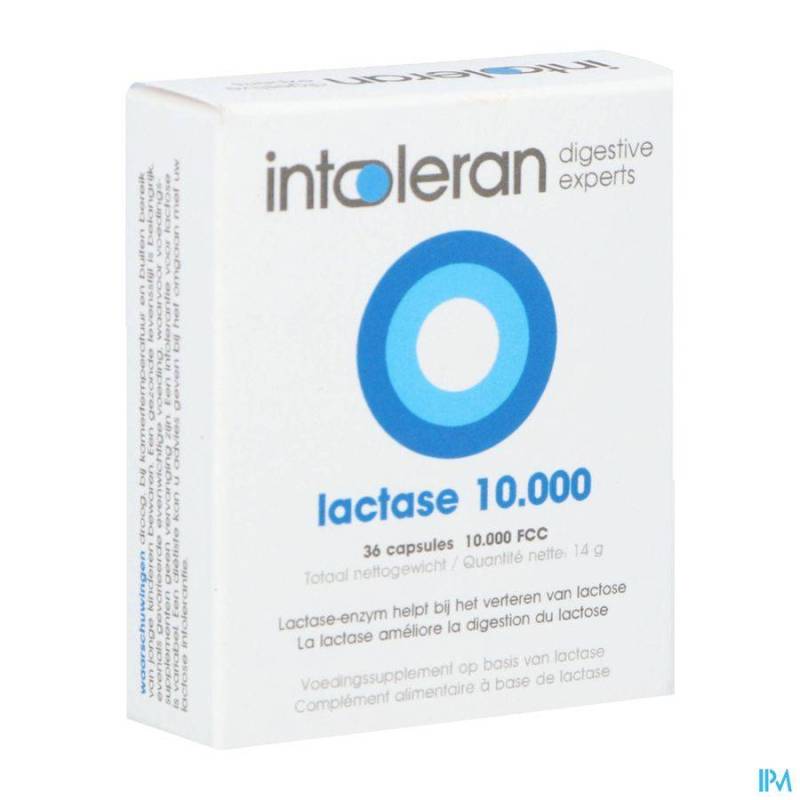 INTOLERAN LACTASE 10 000 FCC 36 CAPS