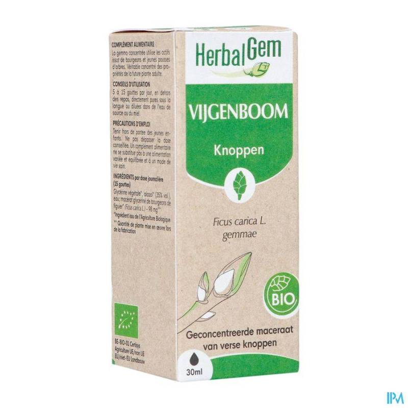 HERBALGEM VIJGENBOOM GEM MAC NF    30ML