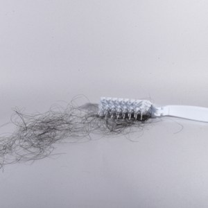 Slecht kammen veroorzaakt haarbeschadiging Problemen met haarverlies zijn talrijk