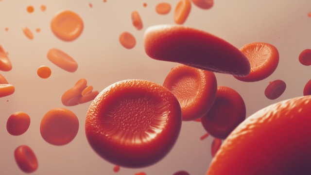 globules rouges