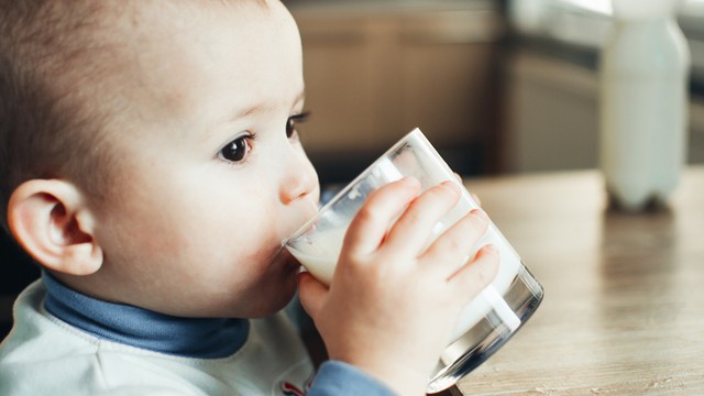 le bébé boit du lait