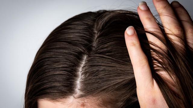 shampoo vet haar