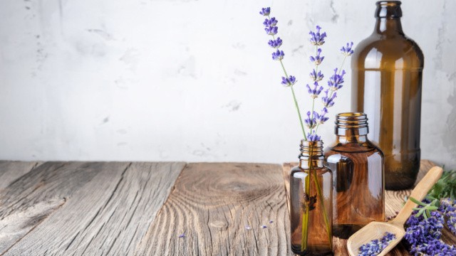 qu'est-ce que la phytothérapie