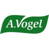 Vogel
