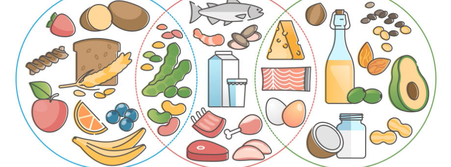 Une alimentation équilibrée avec des macronutriments
