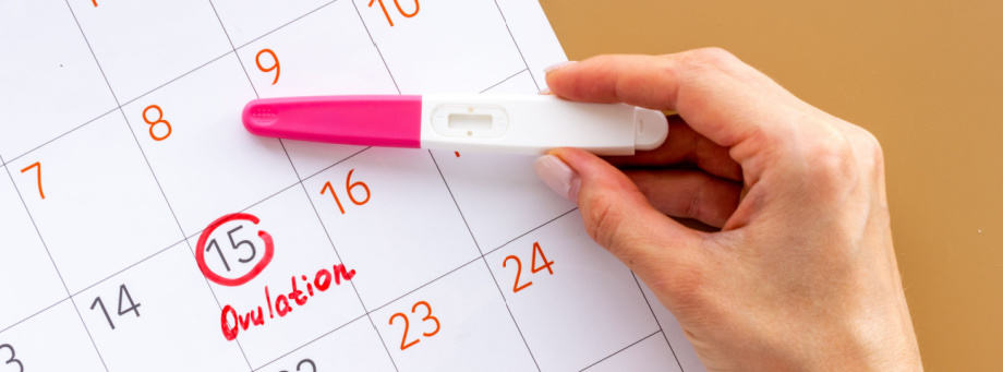 Comment fonctionne un test d'ovulation ?
